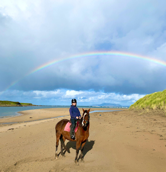 Reiten in Irland