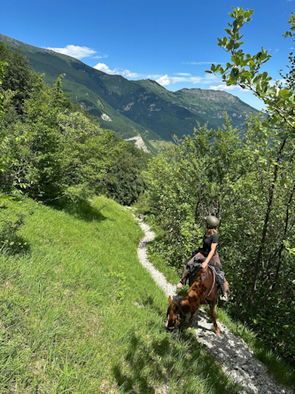 Reitferien Italien