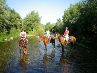 Kurze Rast an der Traenke