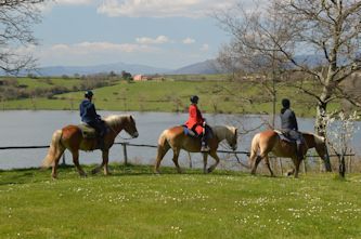 Einfuehrungsritt auf dem Reitplatz