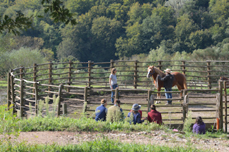 Ausflug zu historischen Staetten
