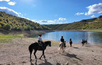 Reiten Kroatien - Dalmatien - Trail