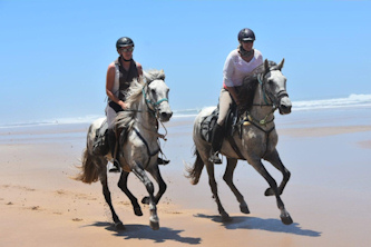 Reiten Marokko Berber Atlantik Trail