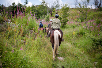 Reiturlaub Montenegro