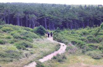 Reiterurlaub Terschelling Niederlande