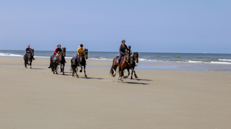 Reiterurlaub Terschelling Niederlande
