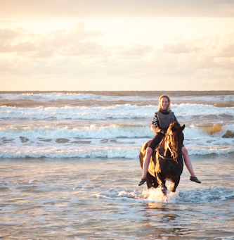 Reiten auf  Terschelling Niederlande
