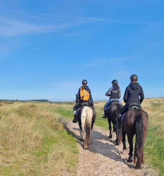 Reiturlaub Terschelling Niederlande