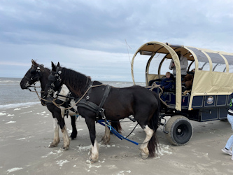 Reiterurlaub Terschelling Niederlande