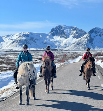 Reiturlaub Lofoten