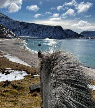 Reiturlaub Lofoten