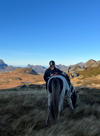 Reiten auf den Lofoten Norwegen