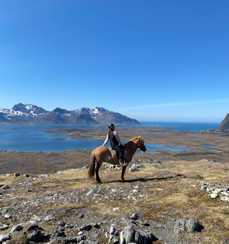 Reiten auf den Lofoten Norwegen