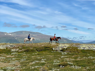Reiten Norwegen Jotunheimen