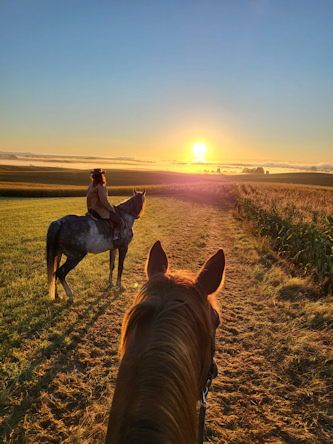 Lange Ritte durch die gruene Landschaft