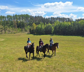 Reiterferien Masuren