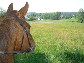 Reiturlaub Karparten