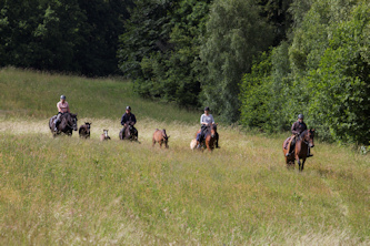 Ritte ueber idyllische Landwege
