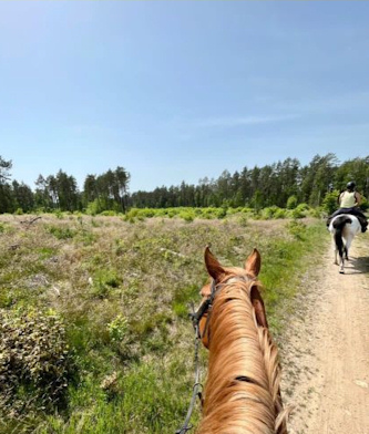 Reiterferien Polen