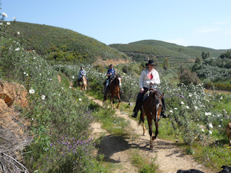 Reiten an der Algarve