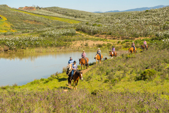 Reiterferien Algarve