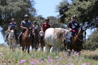 Reiten in Portugal