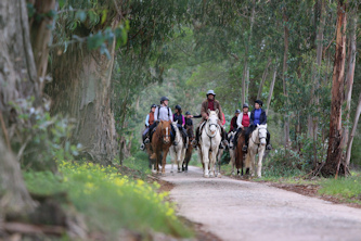 Wanderreiten Portugal