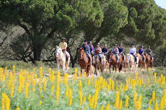Trails an der Delfinkueste