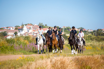 Dressurunterricht Lusitanos