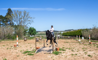 Reiterferien Unterkunft