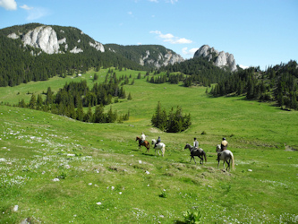 Reiten in Rum&auml;nien
