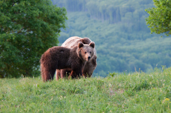 Reiturlaub Rum&auml;nien