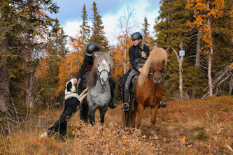 Reiterurlaub Schweden