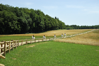 Reiterferien in Slowenien