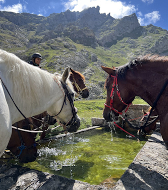 Trail in Nordspanien