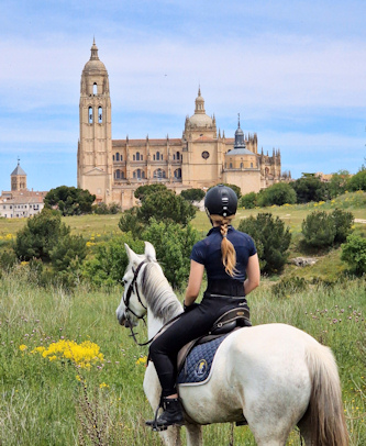 Herrliche Araberpferde