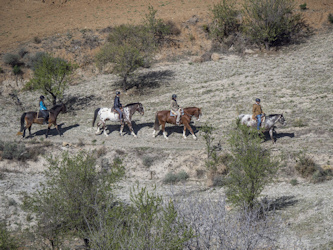 Reiterurlaub Spanien