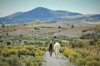 Reiterurlaub Andalusien