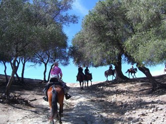 Reiterferien in Suedandalusien