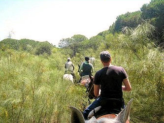 Reiten in Spanien