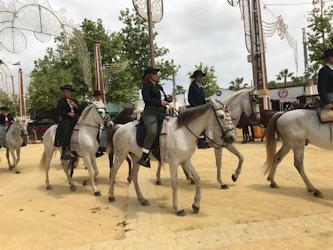 Reiterferien in Andalusien