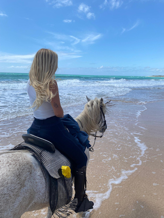 Reittouren am Atlantik