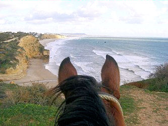 Reiten in Andalusien