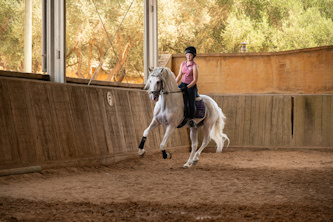 Reitenlernen Mallorca