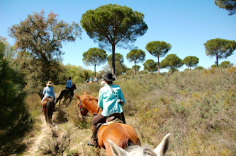 Reiten in Andalusien