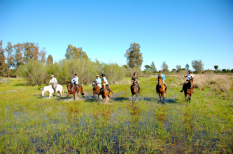 Ritte in Andalusien