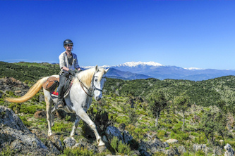 Reiten im Mohnblumenfeld