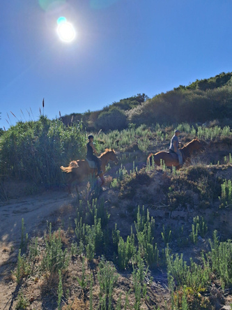 Reiturlaub T&uuml;rkei