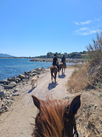 Reittour T&uuml;rkei