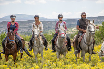 Kappadokien Feenk&auml;mme